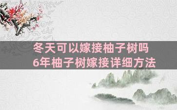 冬天可以嫁接柚子树吗 6年柚子树嫁接详细方法